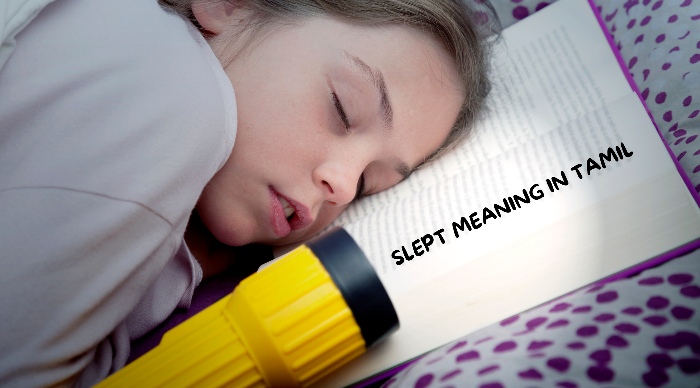 Slept Meaning in Tamil